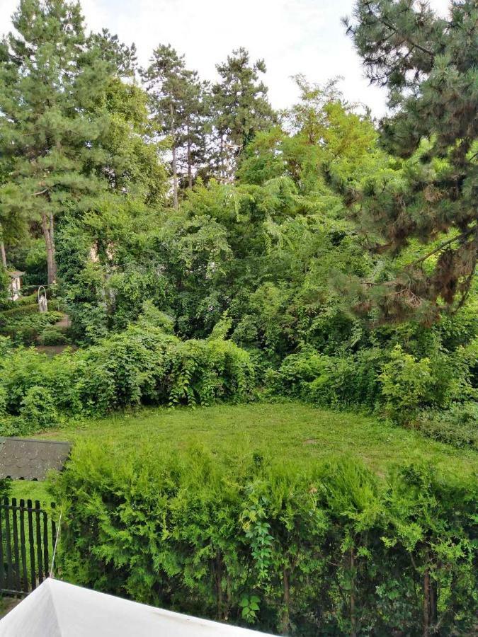 Vila Eden Palić Εξωτερικό φωτογραφία